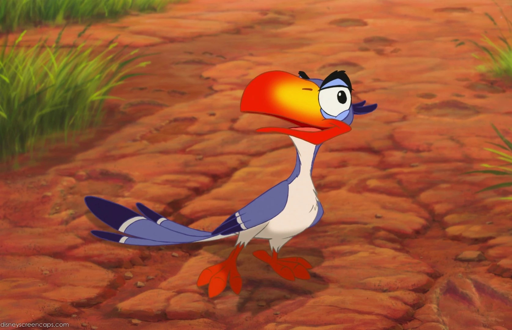 Zazu